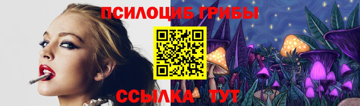 Электросталь  Галлюциногенные грибы Psilocybe  Псилоцибиновые грибы MAGIC MUSHROOMS  Вход с VPN 